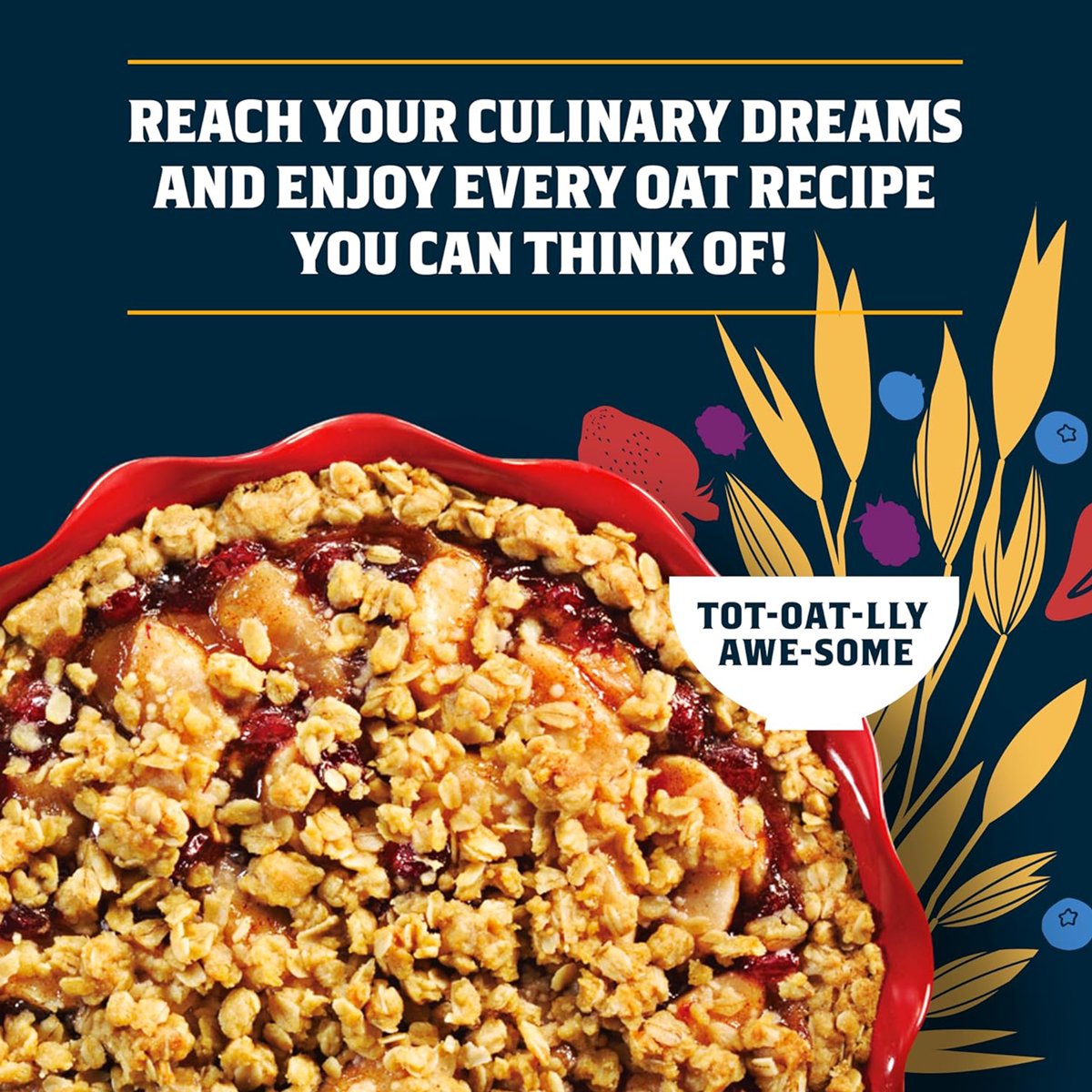 미국직구 Quaker Oats Old 510g 2팩 / Quaker Oats Old Fashioned 100% Whole Grain Oatmeal, 510g Ca 4