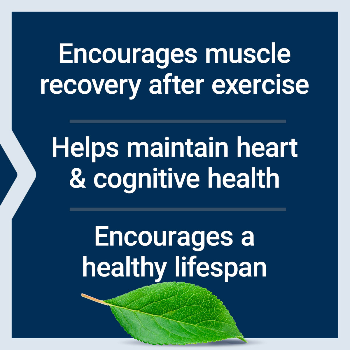 Life Extension 4