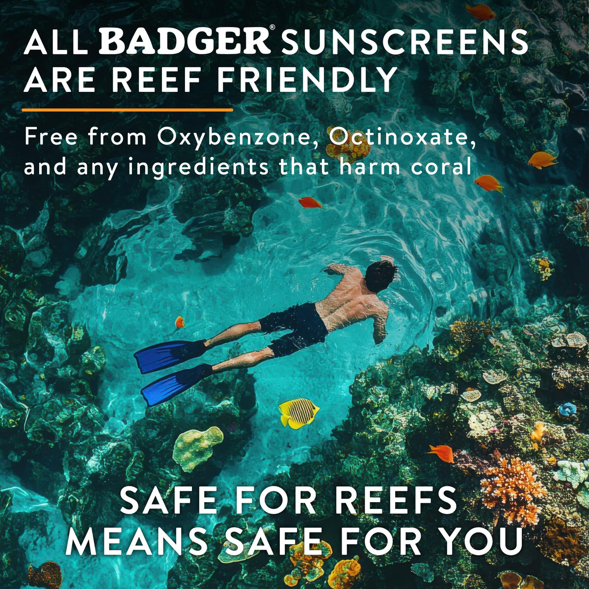 Badger 선크림 SPF50 5