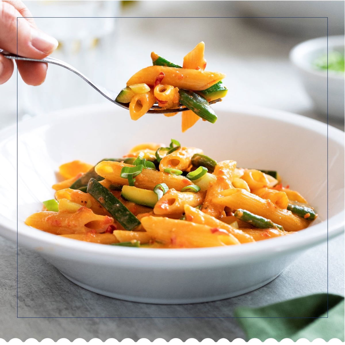 미국직구 Barilla Penne Pasta 454g / Barilla Penne Pasta 454g 6 pk 3