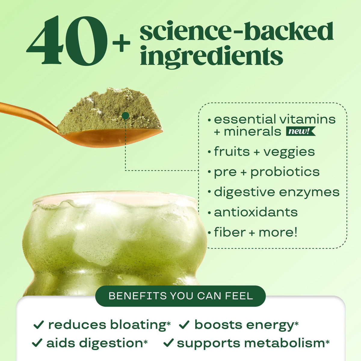 미국직구 Bloom Nutrition Greens 261g / Bloom Nutrition Greens & Superfoods Powder, Shirley Tem 3
