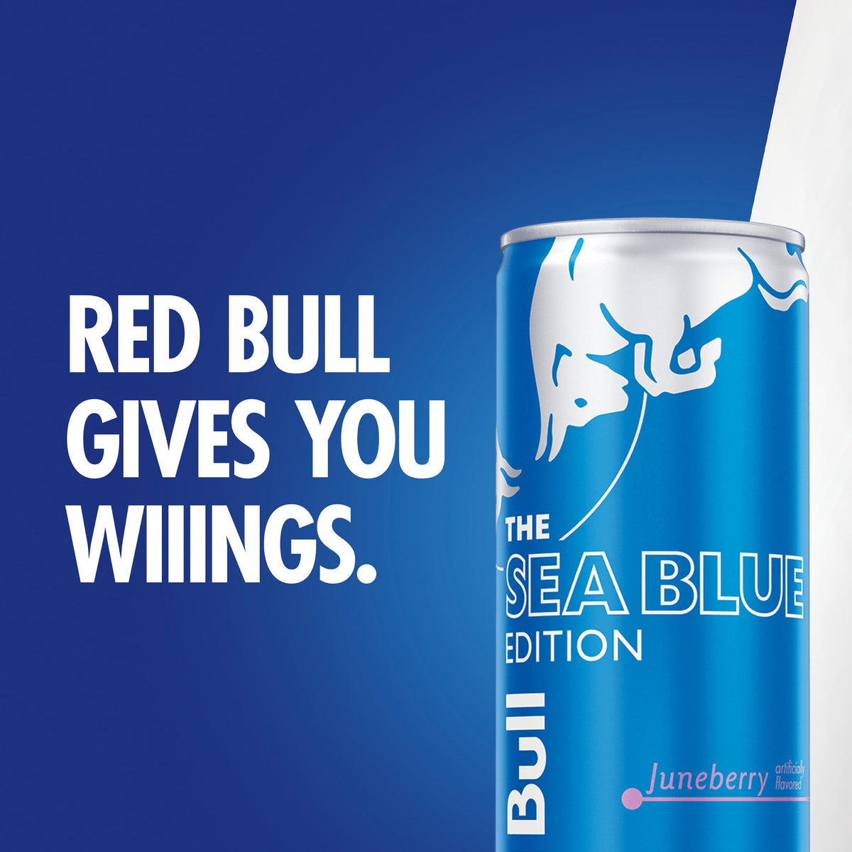 미국직구 레드불 Sea Blue Edition Energy Drink,  8.4 fl. oz.,  6 Packs of 4 Cans,  80mg Caffeine