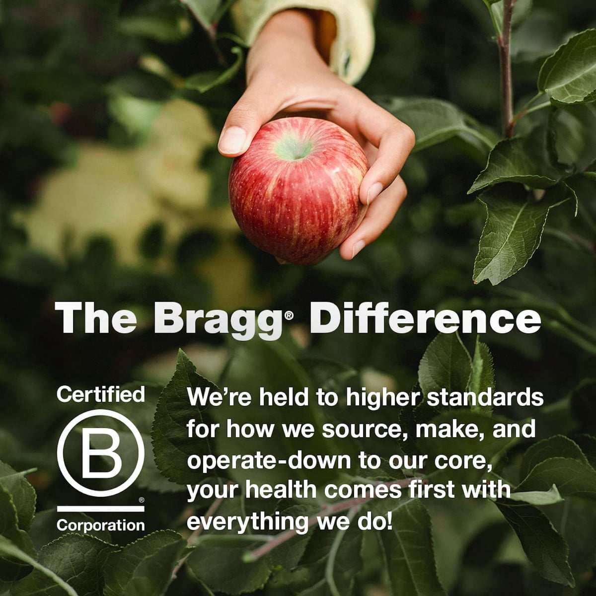 미국직구 Bragg 907g / Bragg Organic Apple Cider Vinegar, 907g, 2 pk. 6