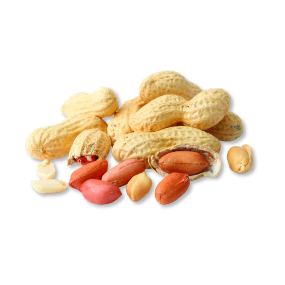 미국직구 Roasted Unsalted Peanuts 견과 / Roasted Unsalted Peanuts in Shell - 20 lb 1