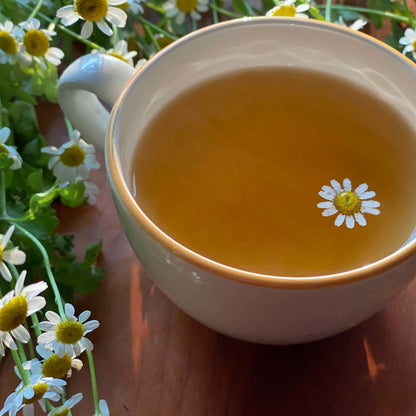 미국직구 비글로우 Cozy Chamomile, Herbal Tea Bags, 20 Count