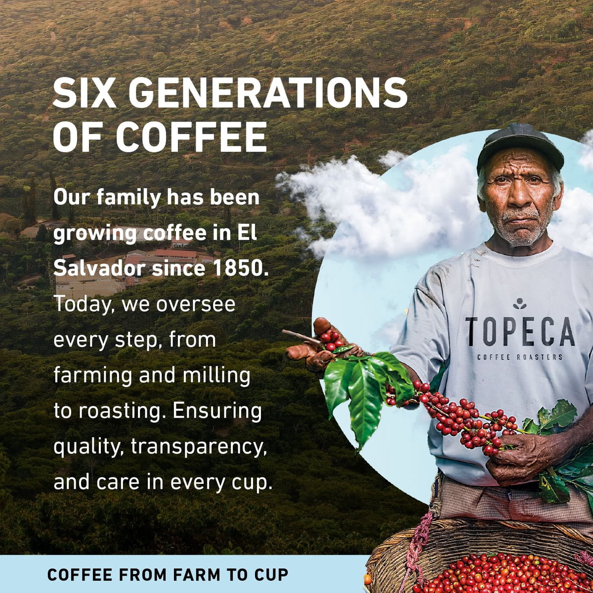 미국직구 Topeca 커피 750g / Topeca Coffee Medium Roast Whole Bean, Breakfast Blend, 750g 4