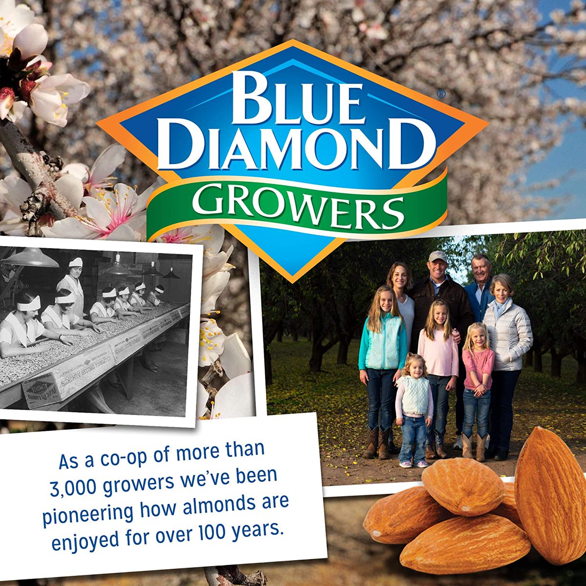 미국직구 Blue Diamond 견과 170g 2팩 / Blue Diamond, Almonds, Honey Roasted, 170g (170 g) Pack of  3