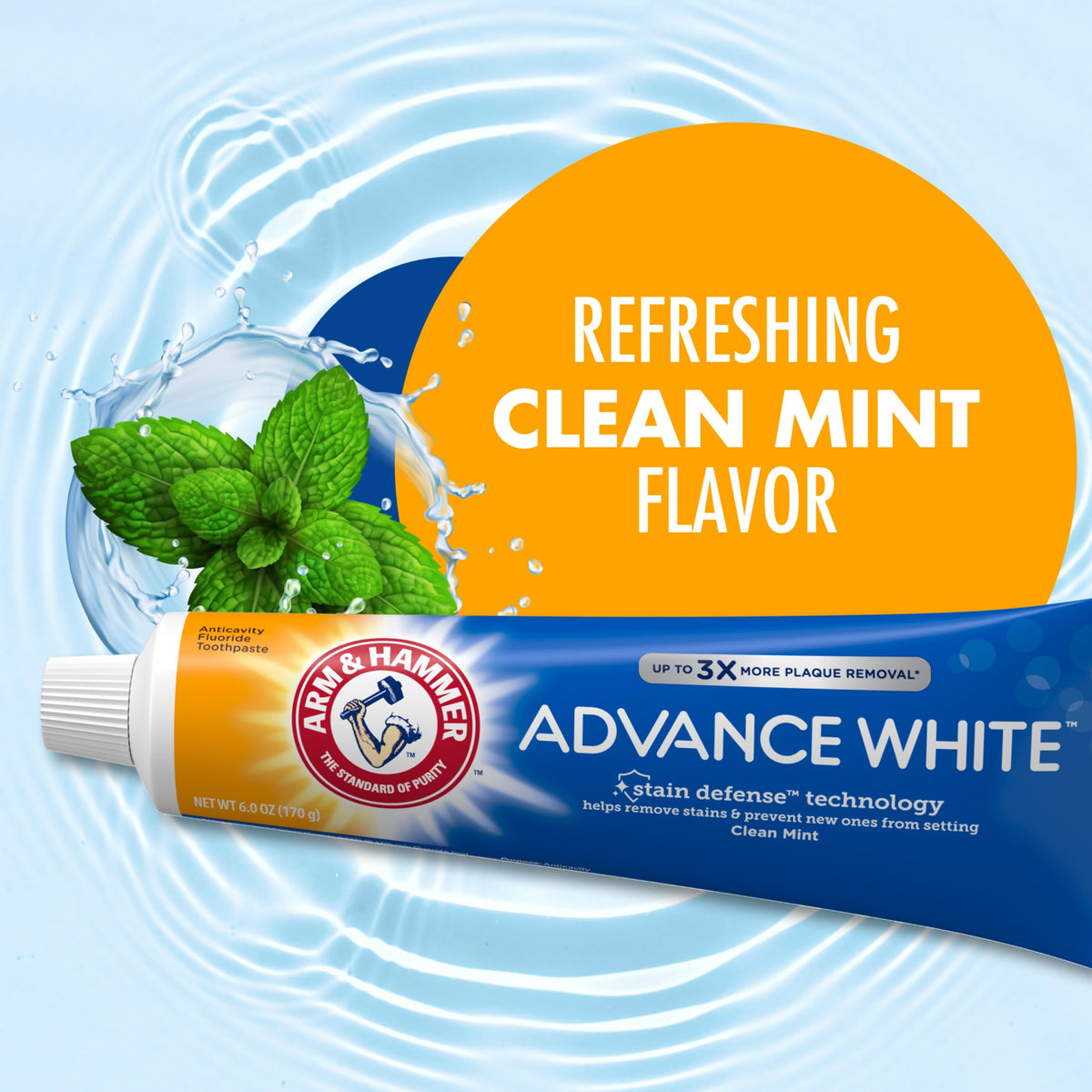 ARM & HAMMER 2