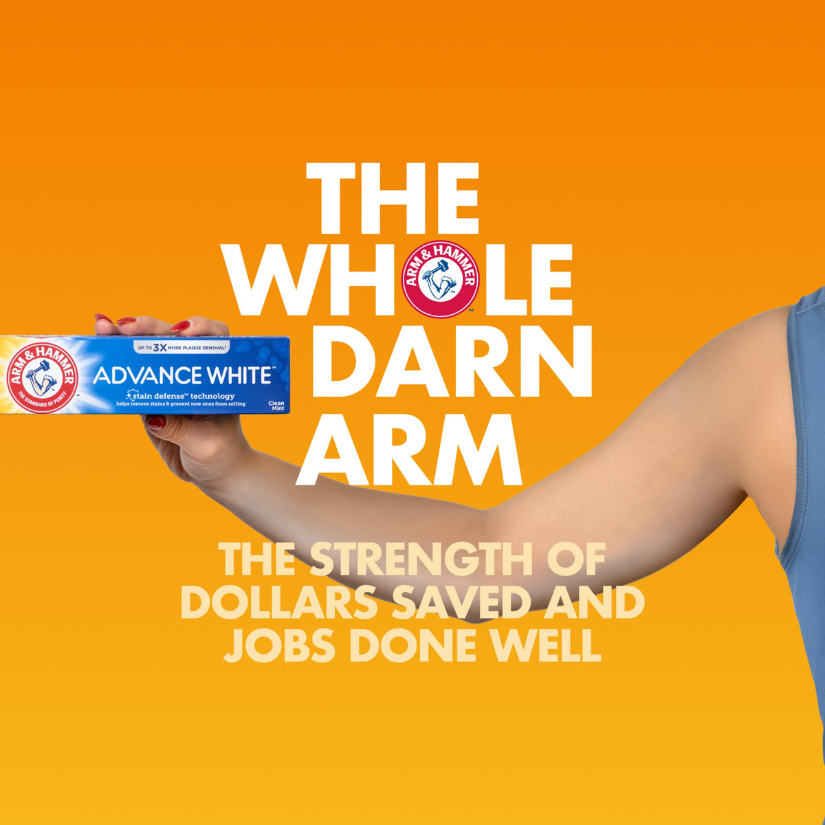 ARM & HAMMER 4