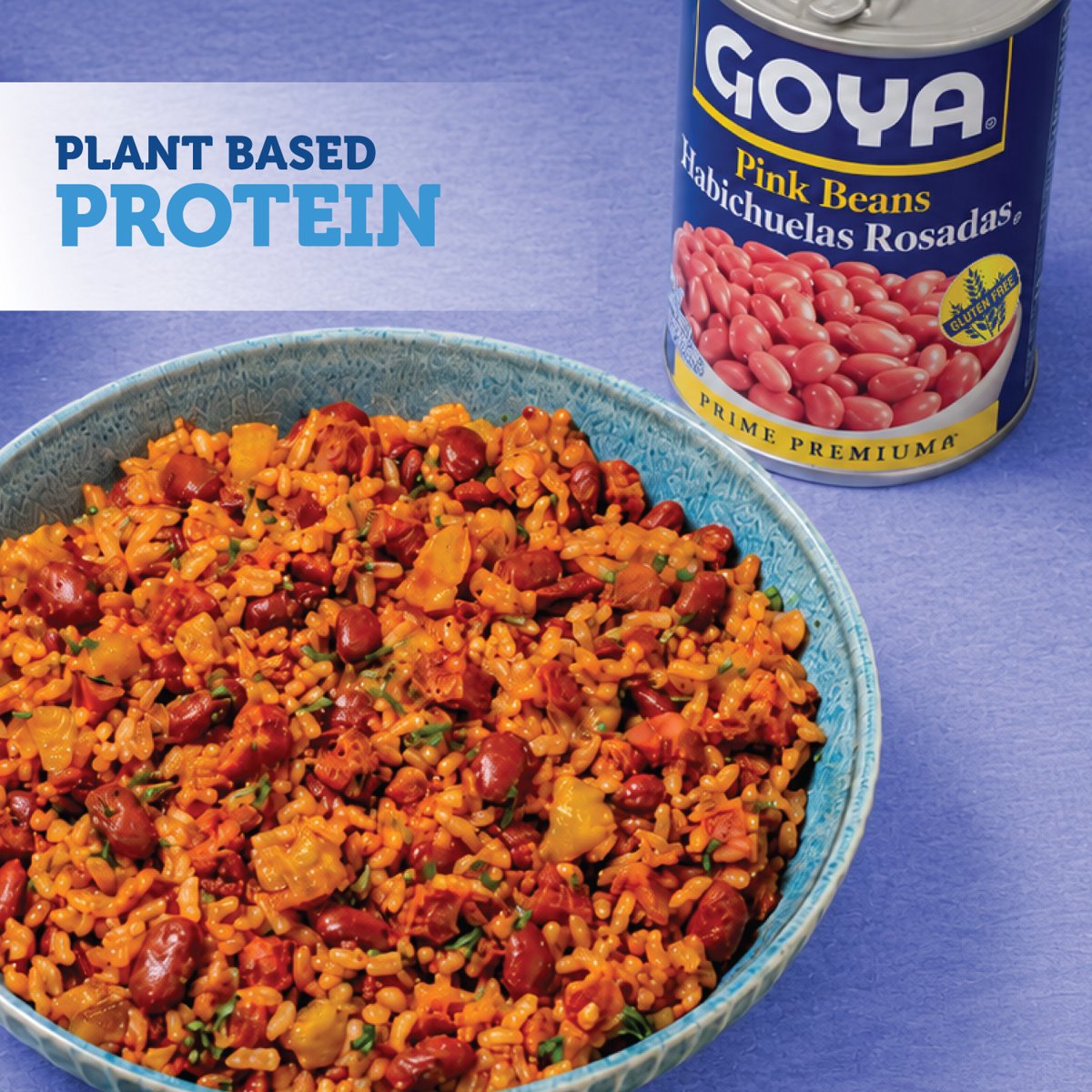 미국직구 GOYA Pink Beans 439g 2팩 / GOYA Pink Beans 439g Can, 2 Pack Bundle 2
