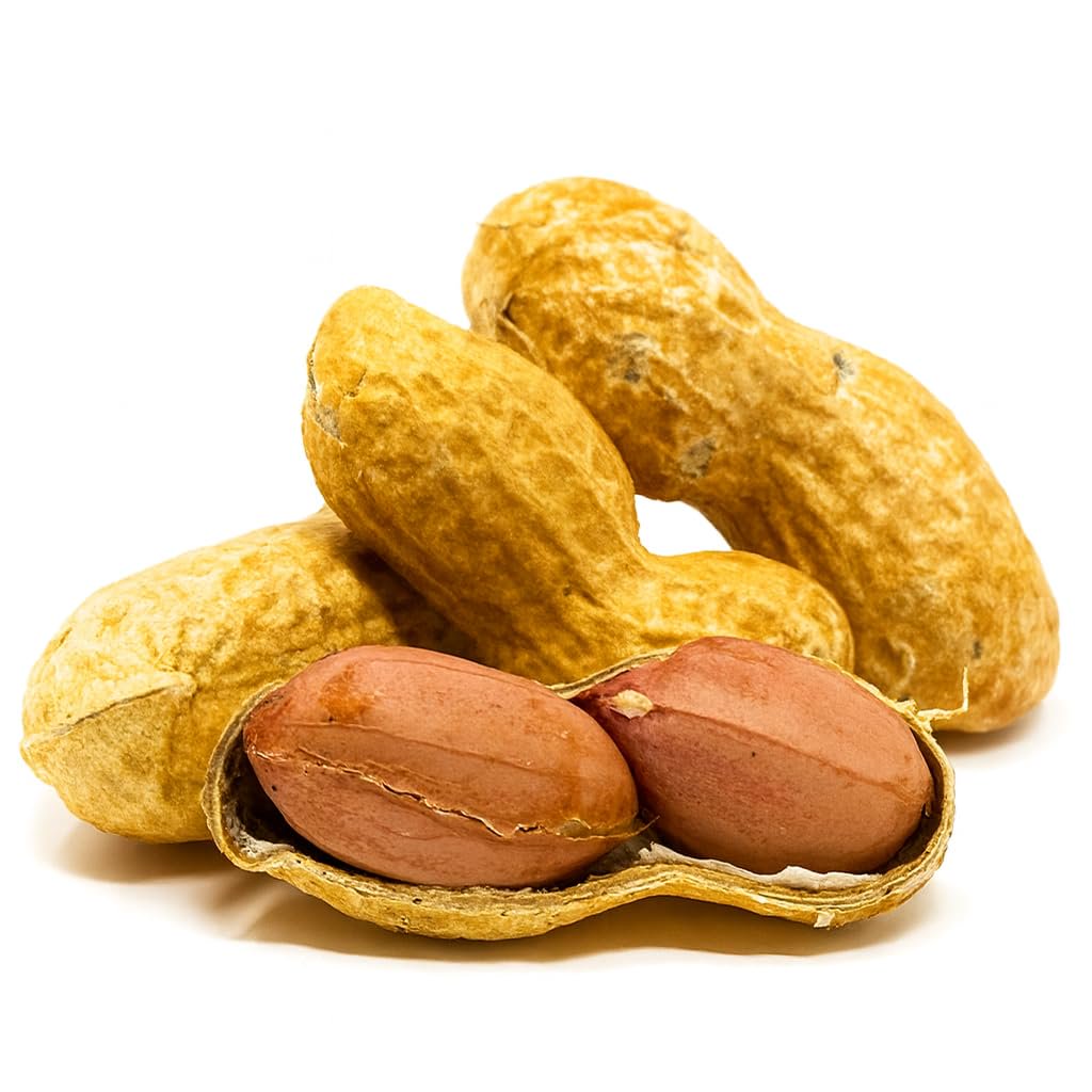미국직구 Crazy 견과 / Crazy Nuts | USA Grown Whole in Shell Raw Peanuts for Birds and Squirr 3
