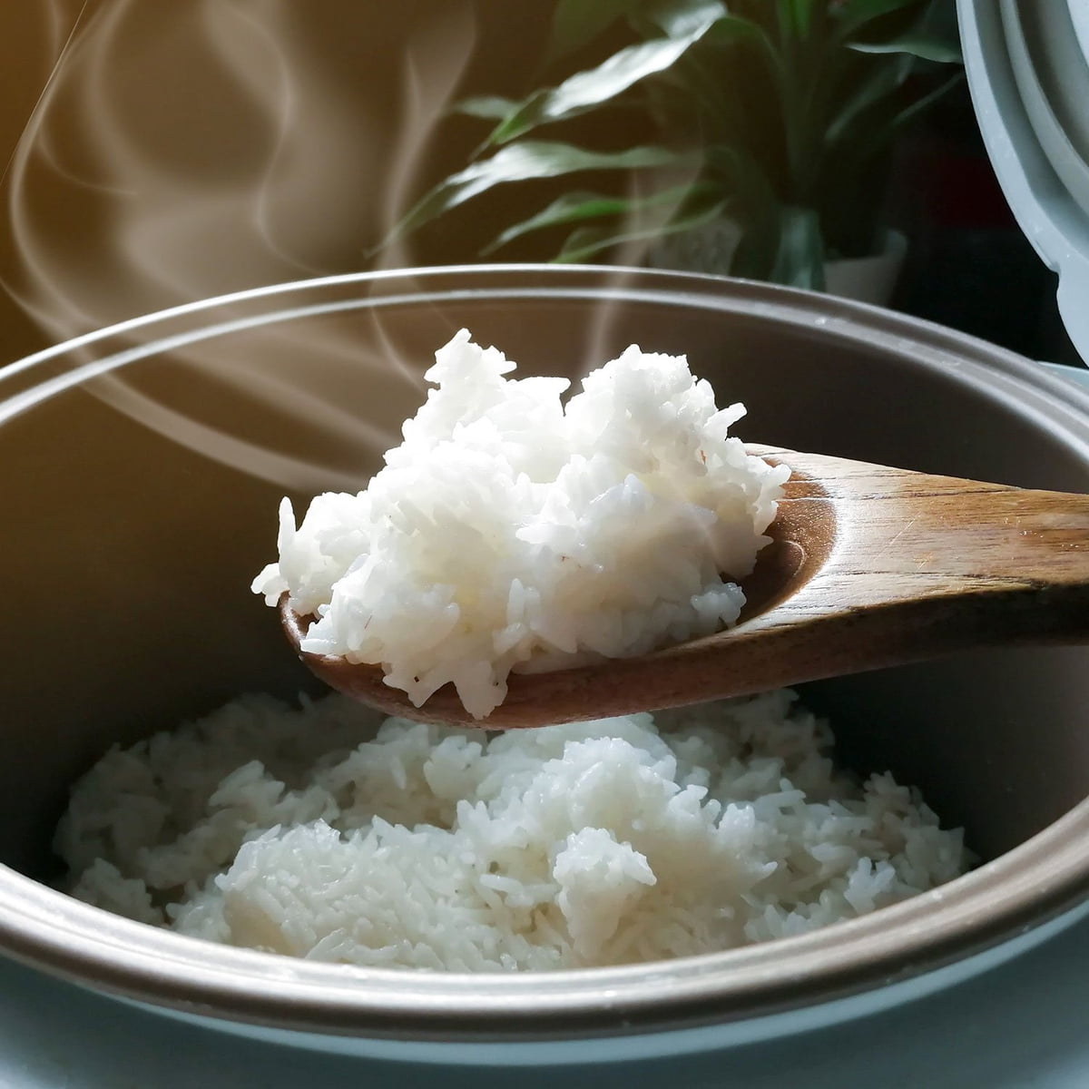 미국직구 Golden Star Prime / Golden Star Prime Grade Thai Hom Mali Sustainable Jasmine Rice, 8 6