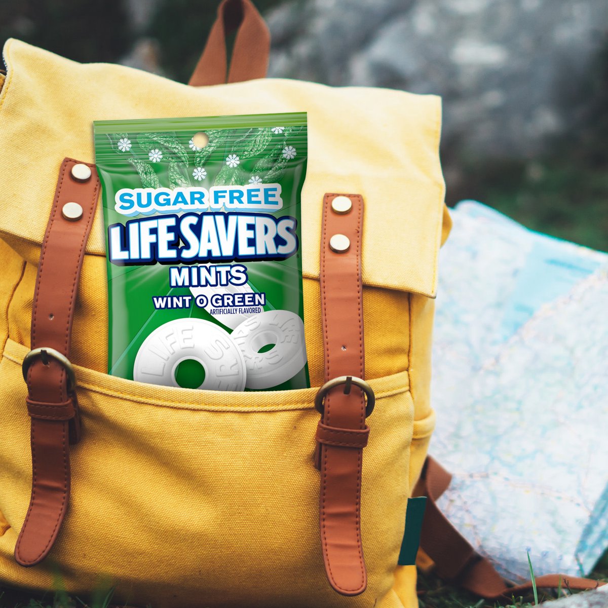 미국직구 Life Savers Wint-O-Green 캔디 78g 2팩 / Life Savers Wint-O-Green Sugar Free Breath Mints 4