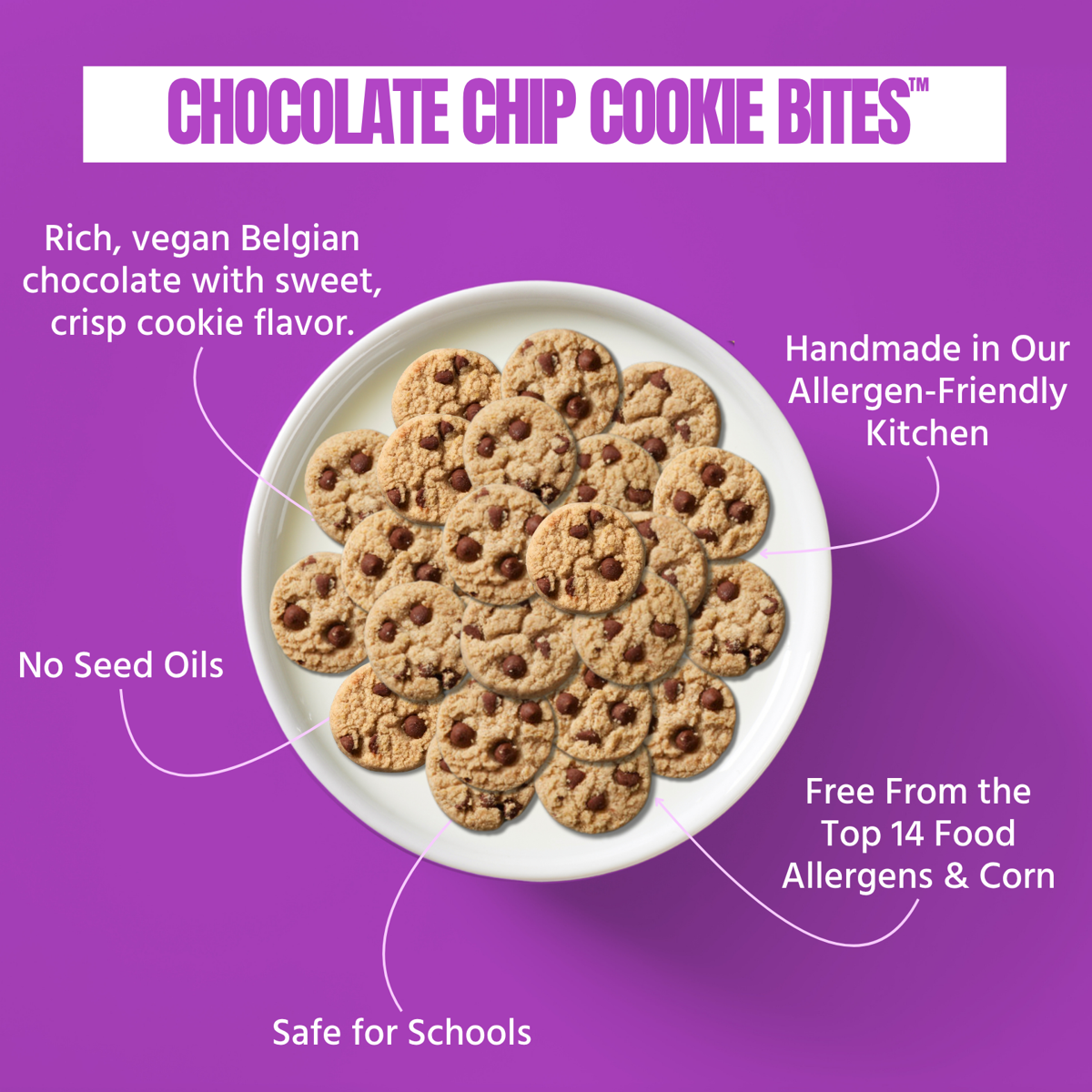 미국직구 Every Body Eat 초콜릿 2팩 / Every Body Eat Crunchy Cookie Bites, Chocolate Chip - Gluten  4