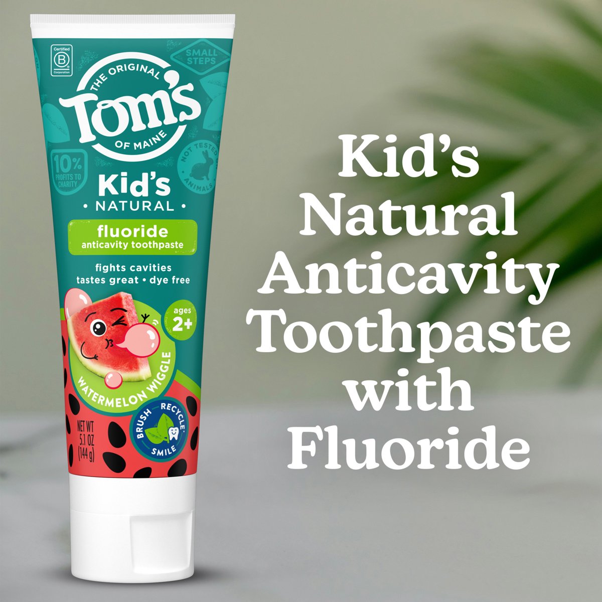 미국직구 Tom s of 145g / Tom’s of Maine Watermelon Wiggle Kids Toothpaste with Fluoride, 145g 2