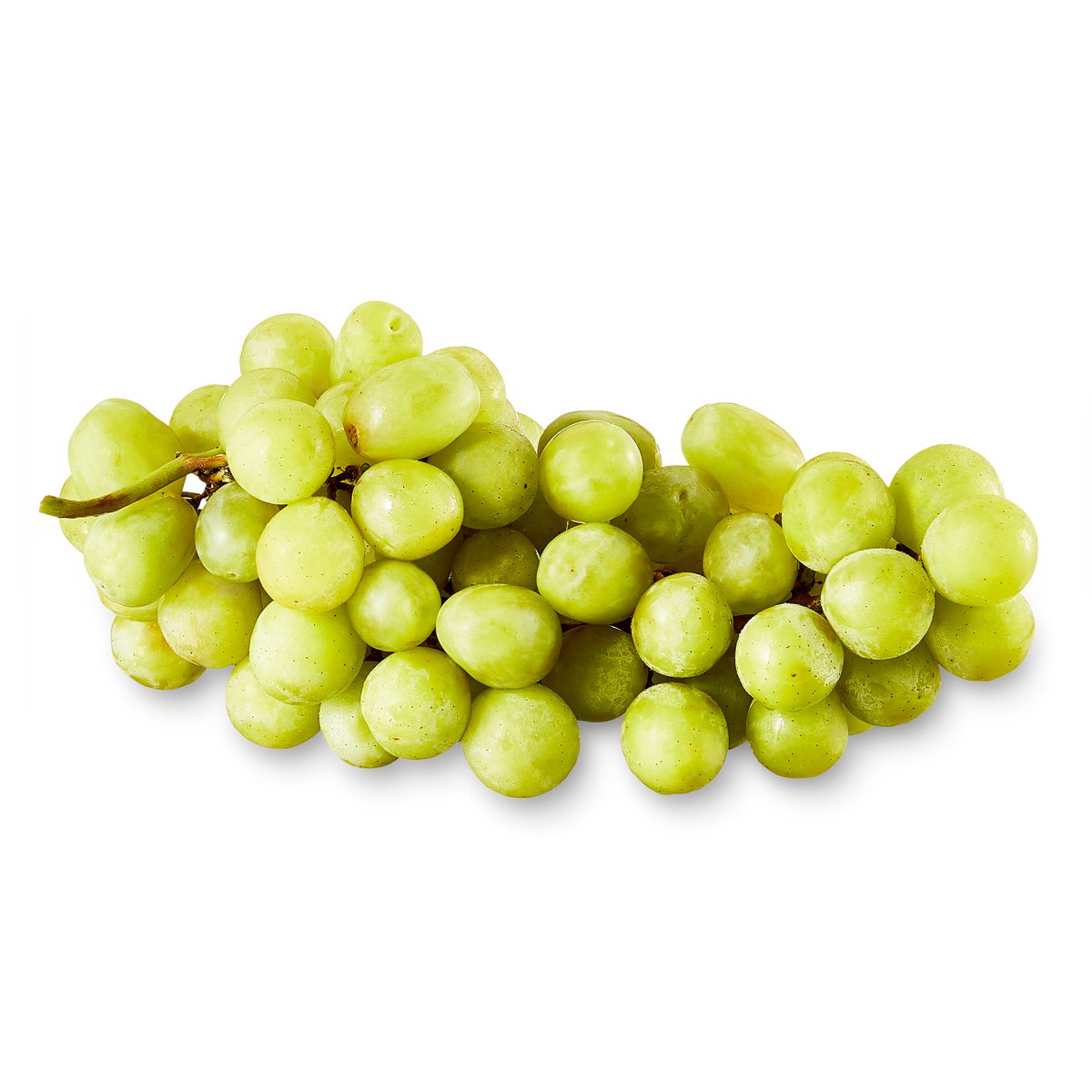 미국직구 Green Seedless Grapes 2팩 / Green Seedless Grapes From California, Bag (2.25 lbs/Bag E 5