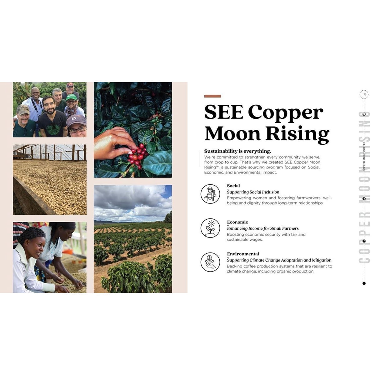 미국직구 Copper Moon 커피 1.1kg / Copper Moon Coffee Medium Roast Ground Coffee, Hawaiian Hazeln 6