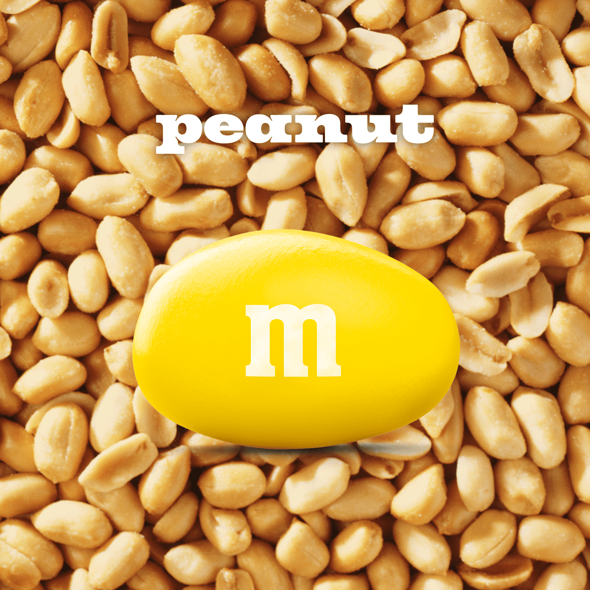 미국직구 M&M's Fun Size 초콜릿 208g 2팩 / M&M's Fun Size Peanut Milk Chocolate Halloween Candy - 2 2