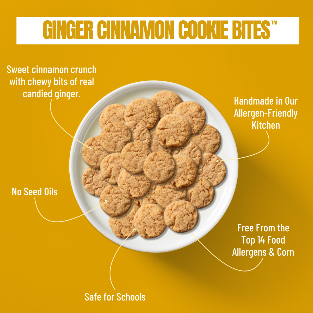 미국직구 Every Body Eat 과자 142g 2팩 / Every Body Eat Ginger Cinnamon Crunchy Cookie Bites - Glu 4