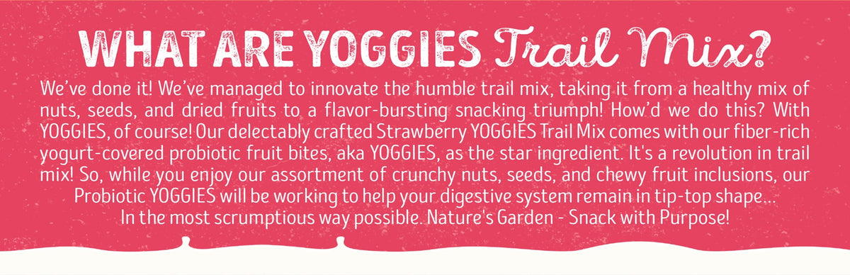 미국직구 Probiotic Strawberry Yoggies 유산균 10팩 / Probiotic Strawberry Yoggies Trail Mix 10ct 2