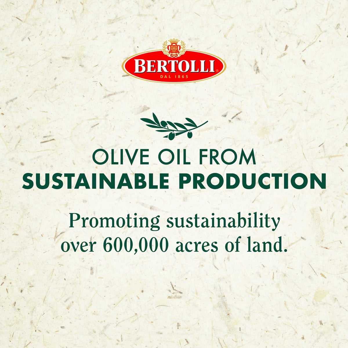 미국직구 Bertolli Extra Virgin 1.5L / Bertolli Extra Virgin Olive Oil, 1.5L 4