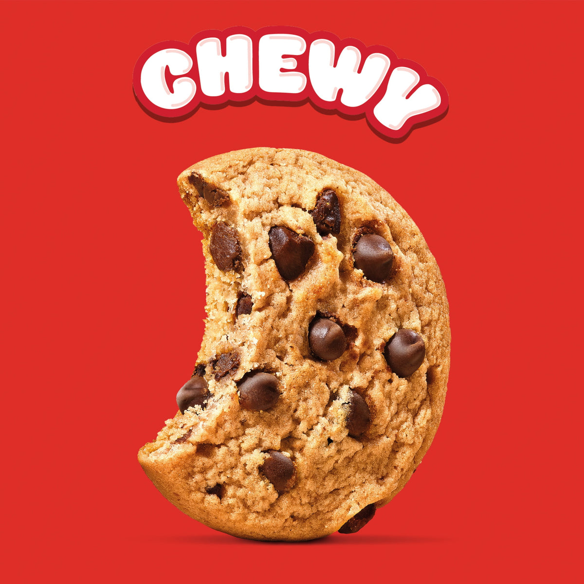 미국직구 칩스아호이 ! Chewy Fudgy Chocolate Chip Cookies, Family Size, 19.5 oz