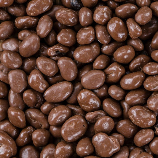 미국직구 Gourmet 초콜릿 / Gourmet Milk Chocolate Covered Raisins by It's Delish, 1 Lb Bag Milk C 1