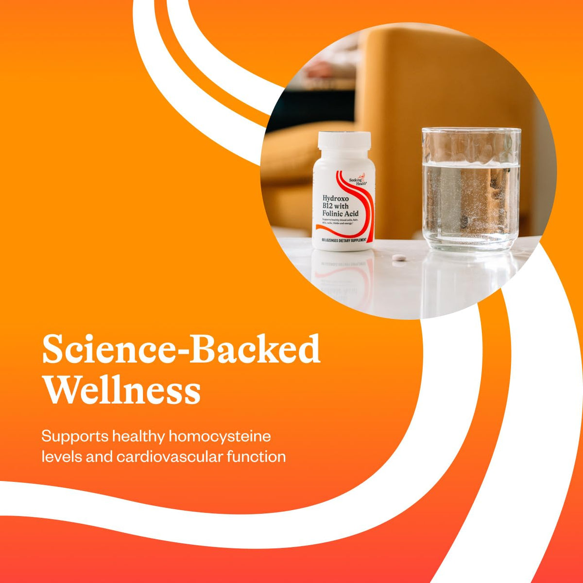 Seeking Health 4
