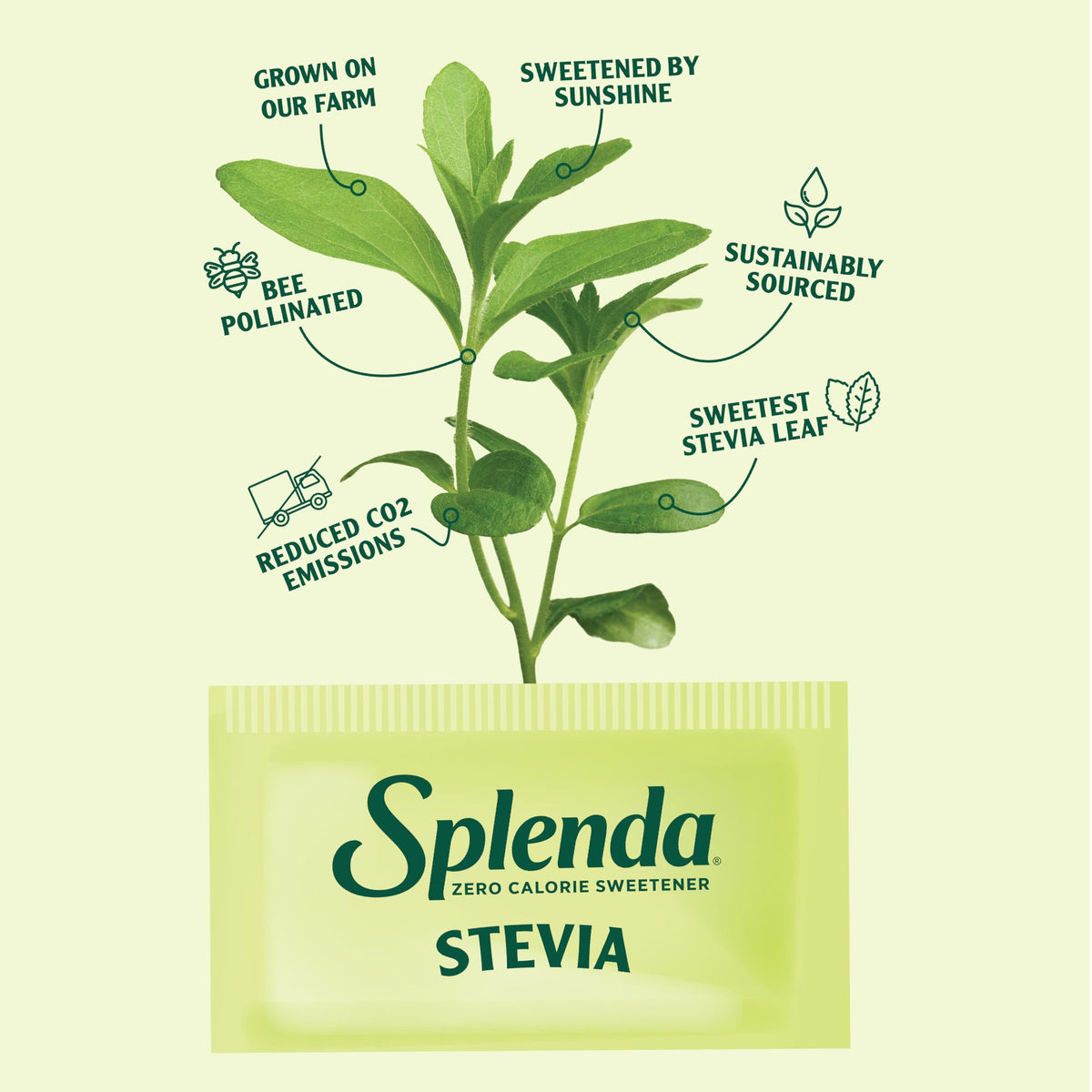 SPLENDA 3